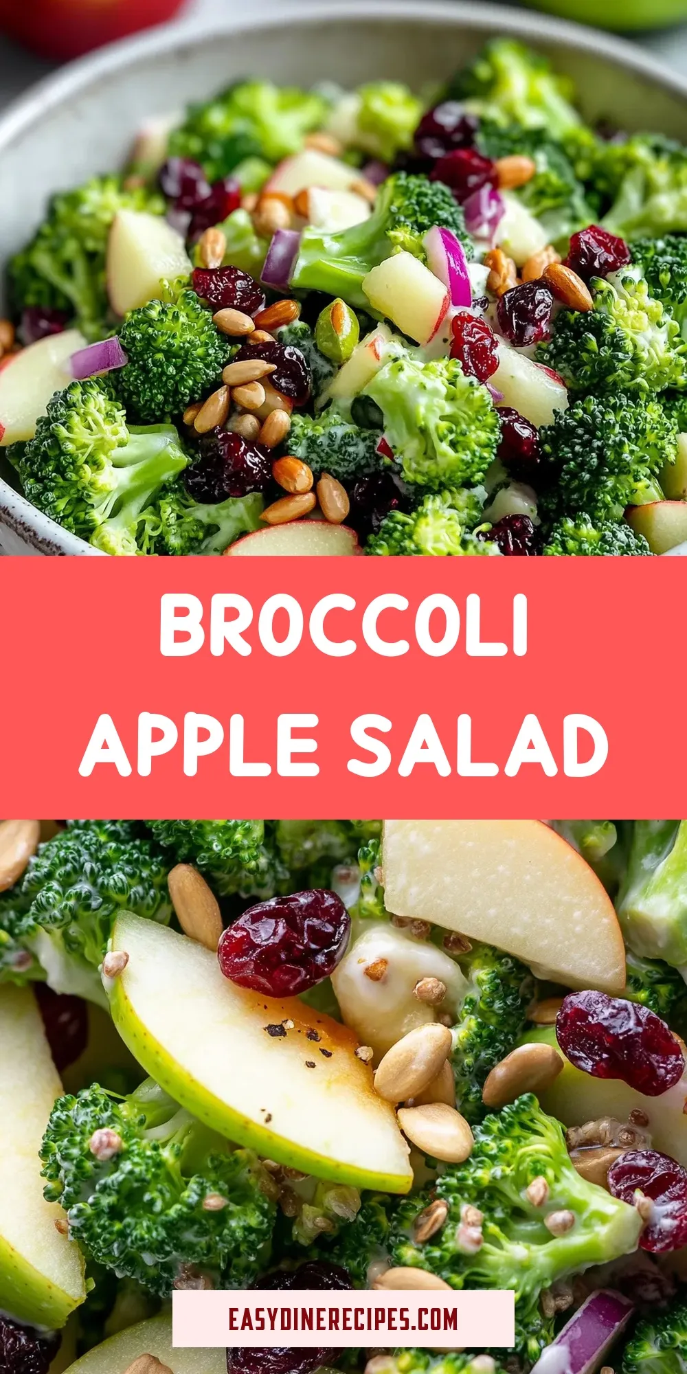 Delicious Broccoli Apple Salad