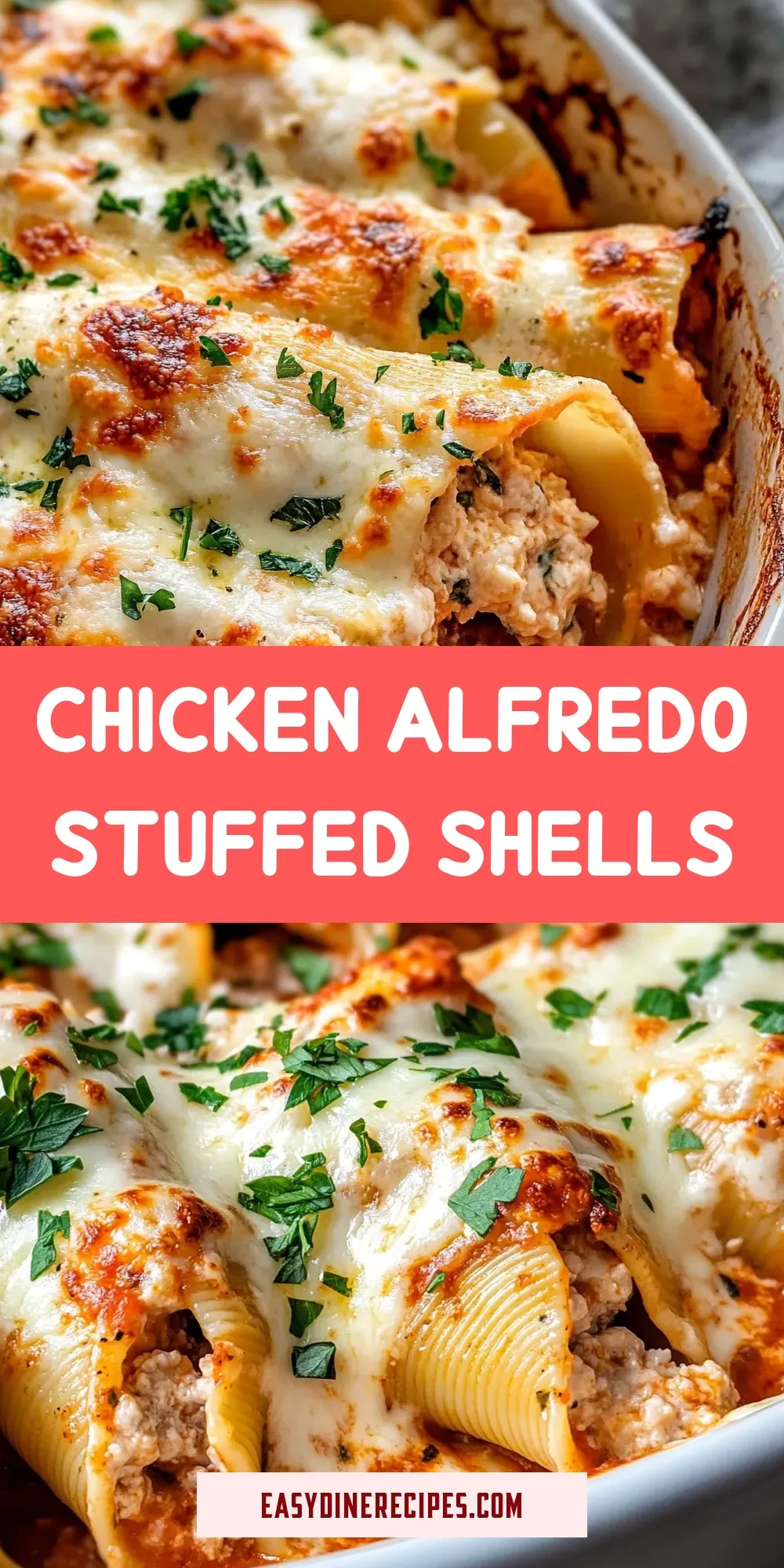 Chicken Alfredo Stuffed Shells Recipe