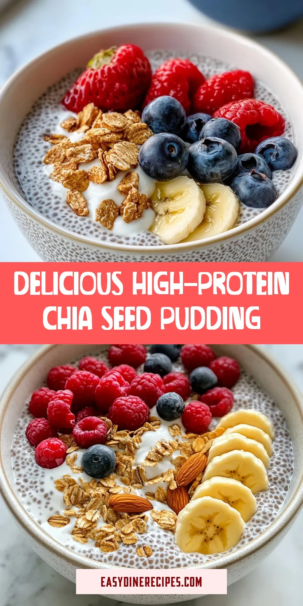 Easy Delicious High-Protein Chia Seed Pudding Recipe