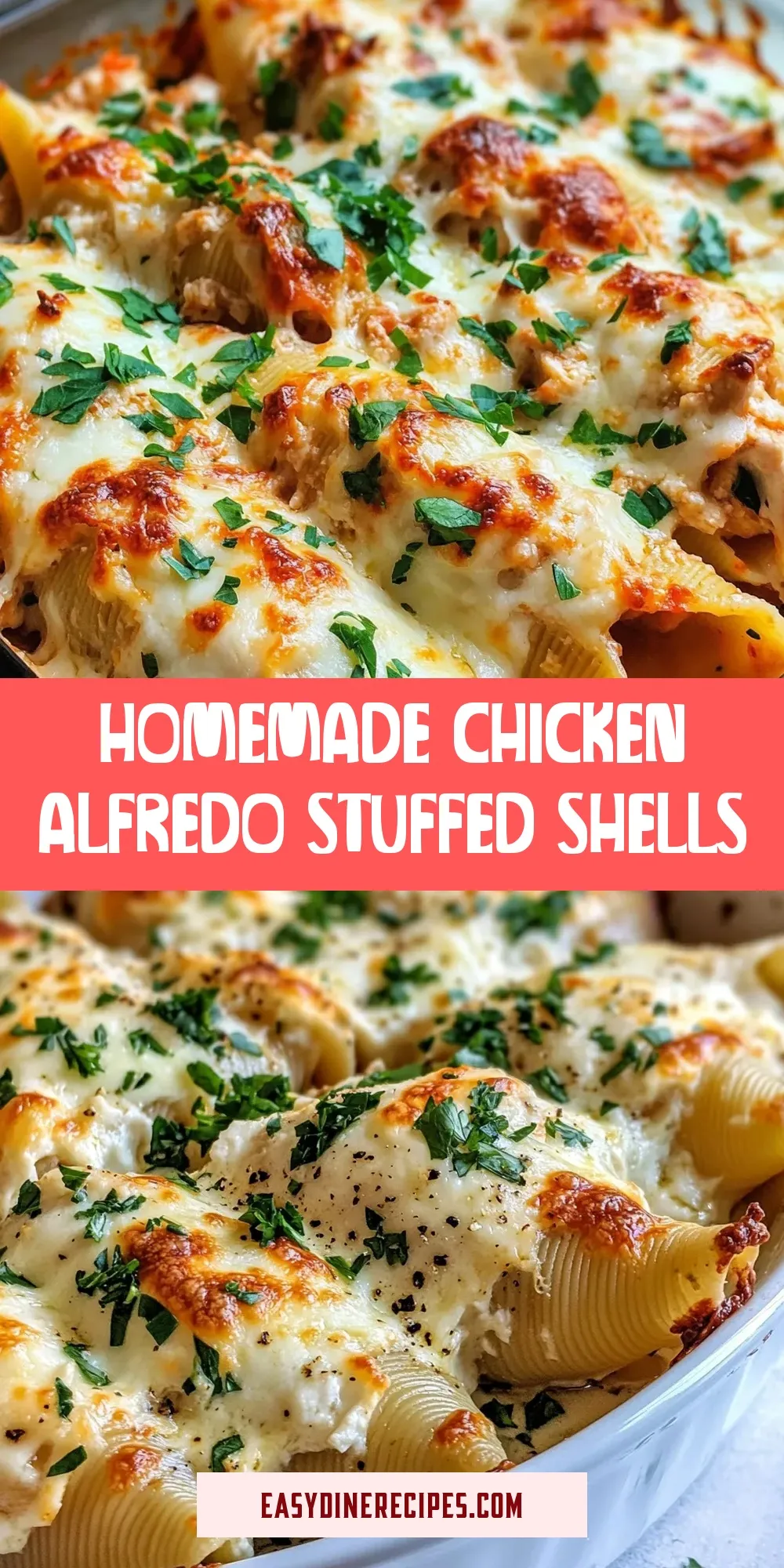 The Best Homemade Chicken Alfredo Stuffed Shells Ever