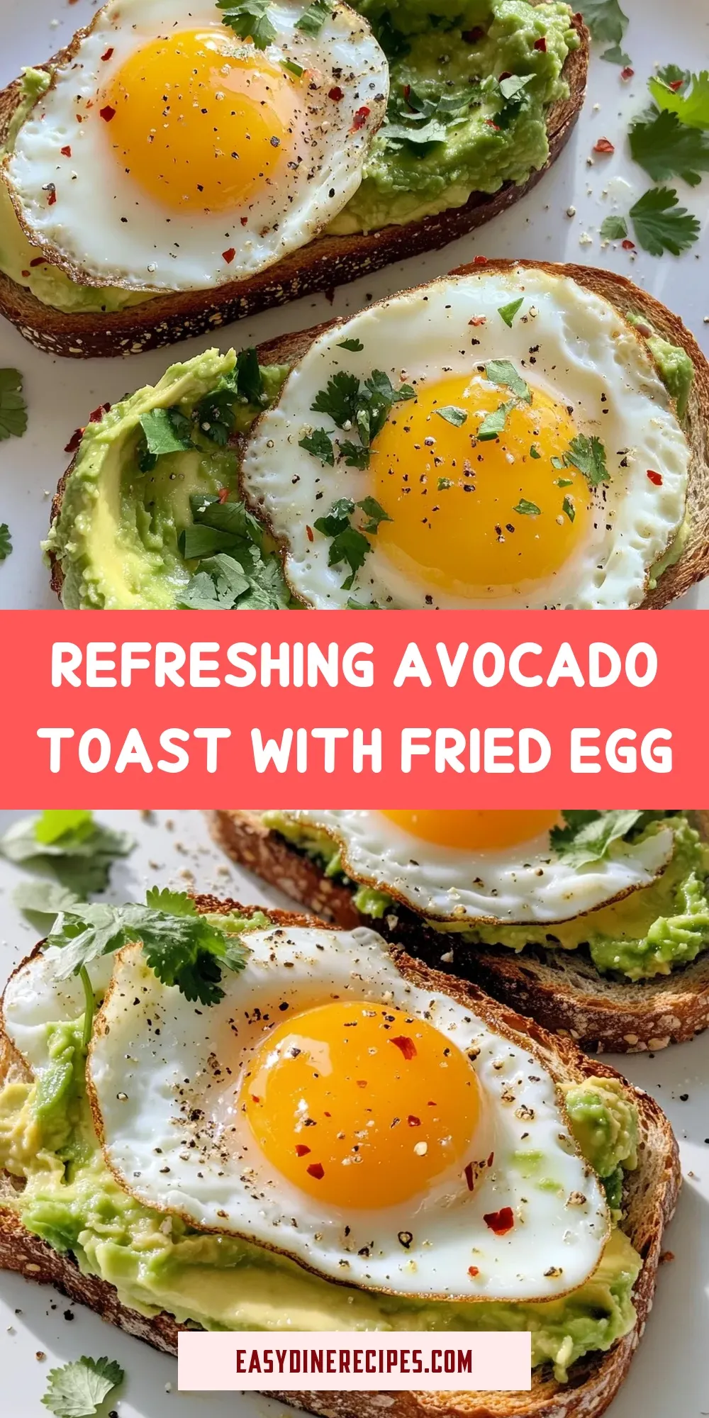 The Best Refreshing Avocado Toast With Fried Egg Ever