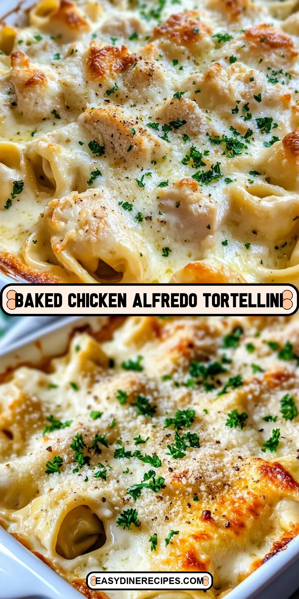 Baked Chicken Alfredo Tortellini Recipe