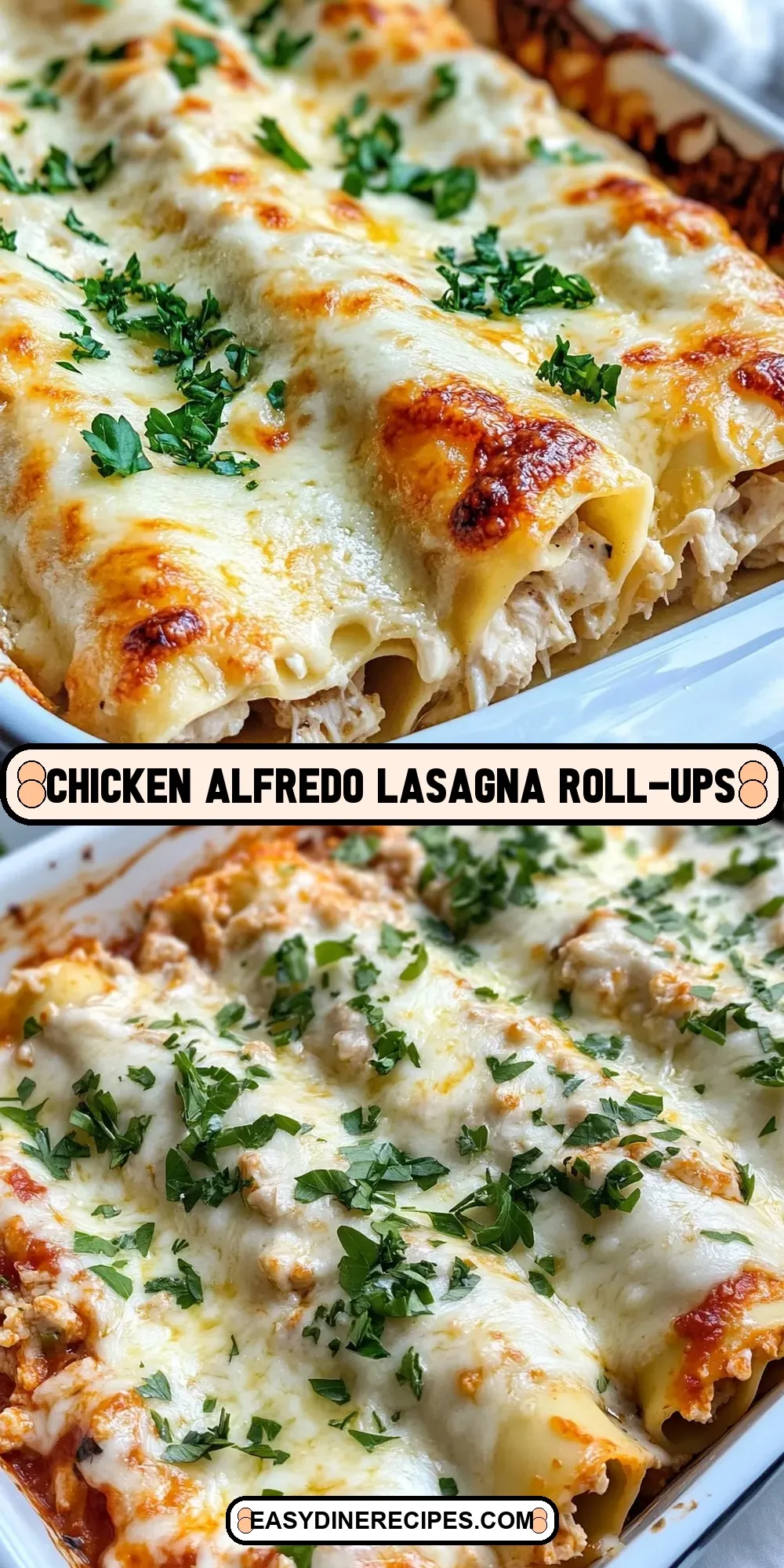 Easy Chicken Alfredo Lasagna Roll-Ups Recipe