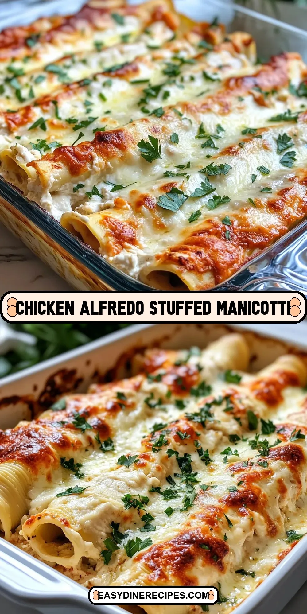Creamy Chicken Alfredo Stuffed Manicotti