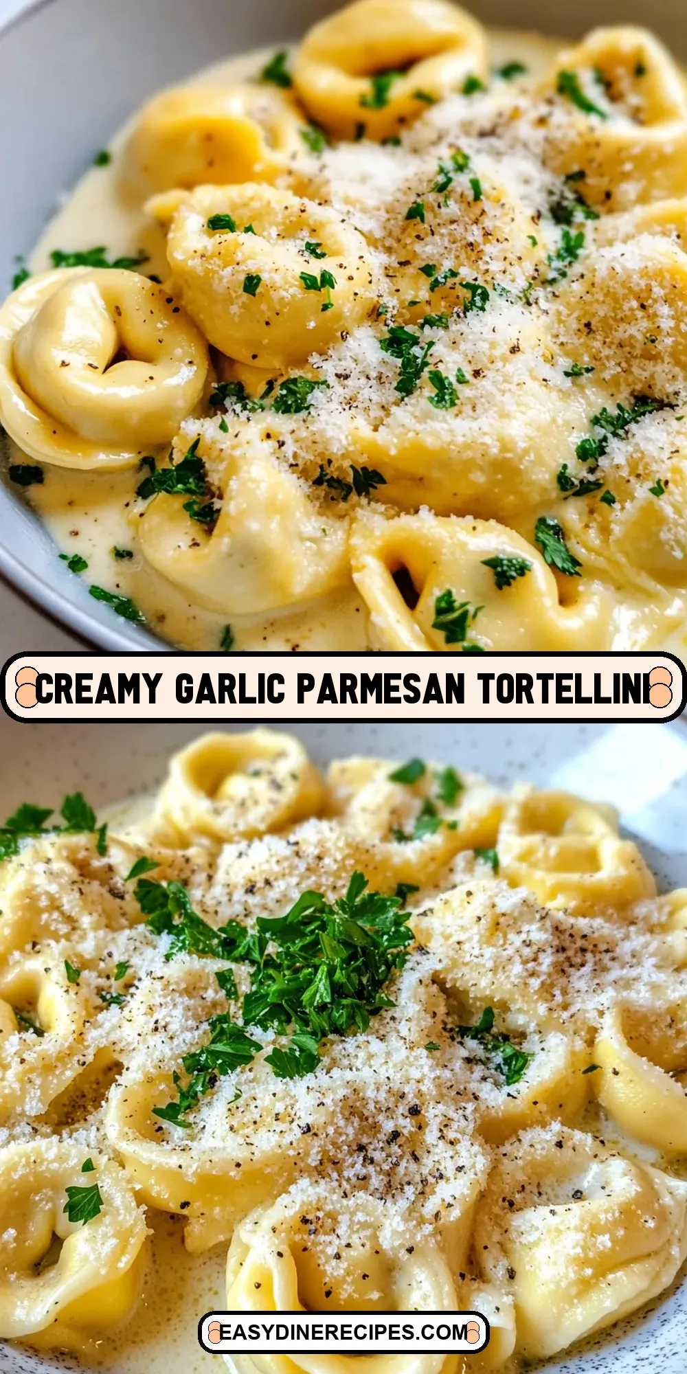 The Best Creamy Garlic Parmesan Tortellini Ever