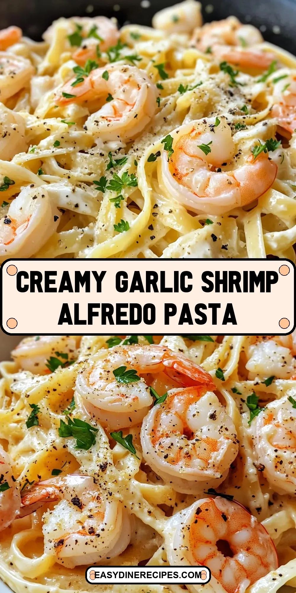 Creamy Garlic Shrimp Alfredo Pasta Recipe