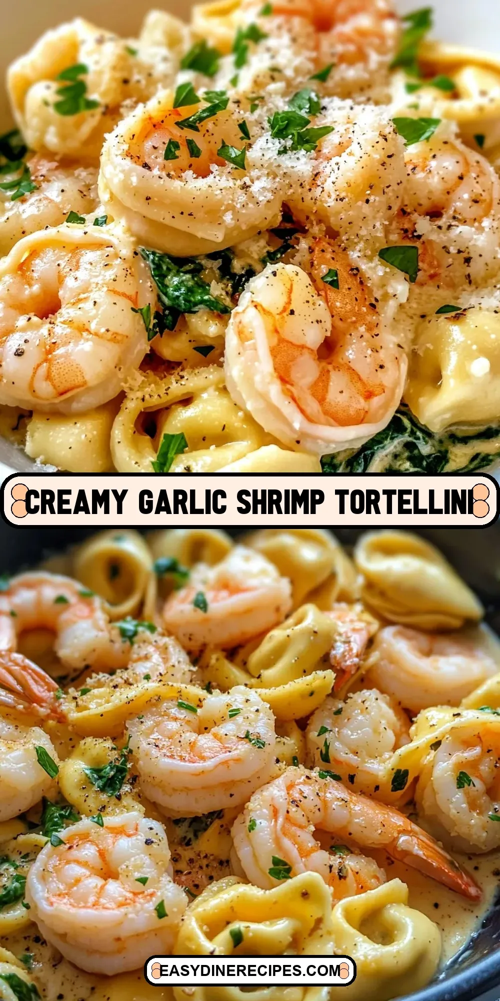 The Best Creamy Garlic Shrimp Tortellini Ever