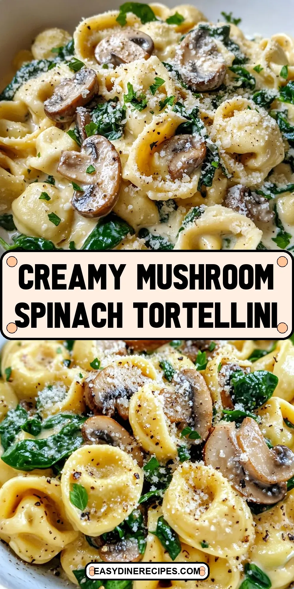 The Best Creamy Mushroom Spinach Tortellini Ever