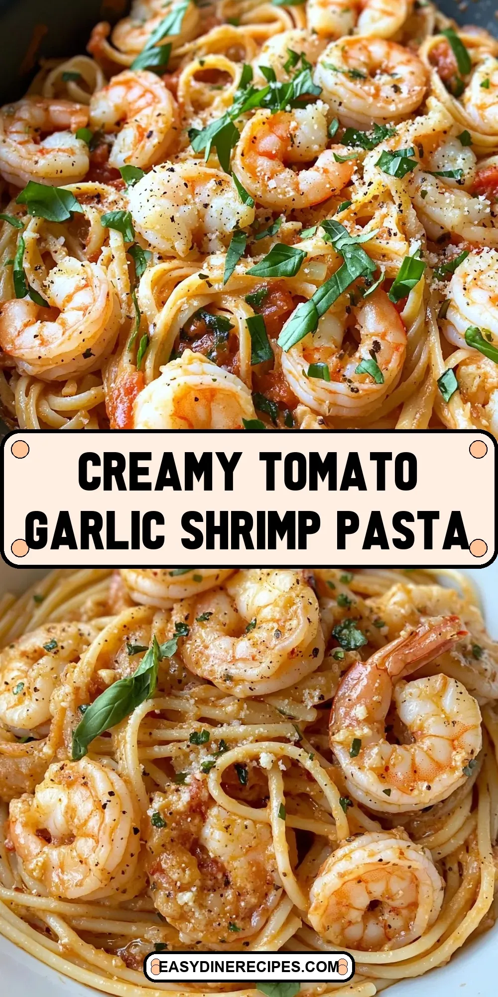 Easy Creamy Tomato Garlic Shrimp Pasta Recipe