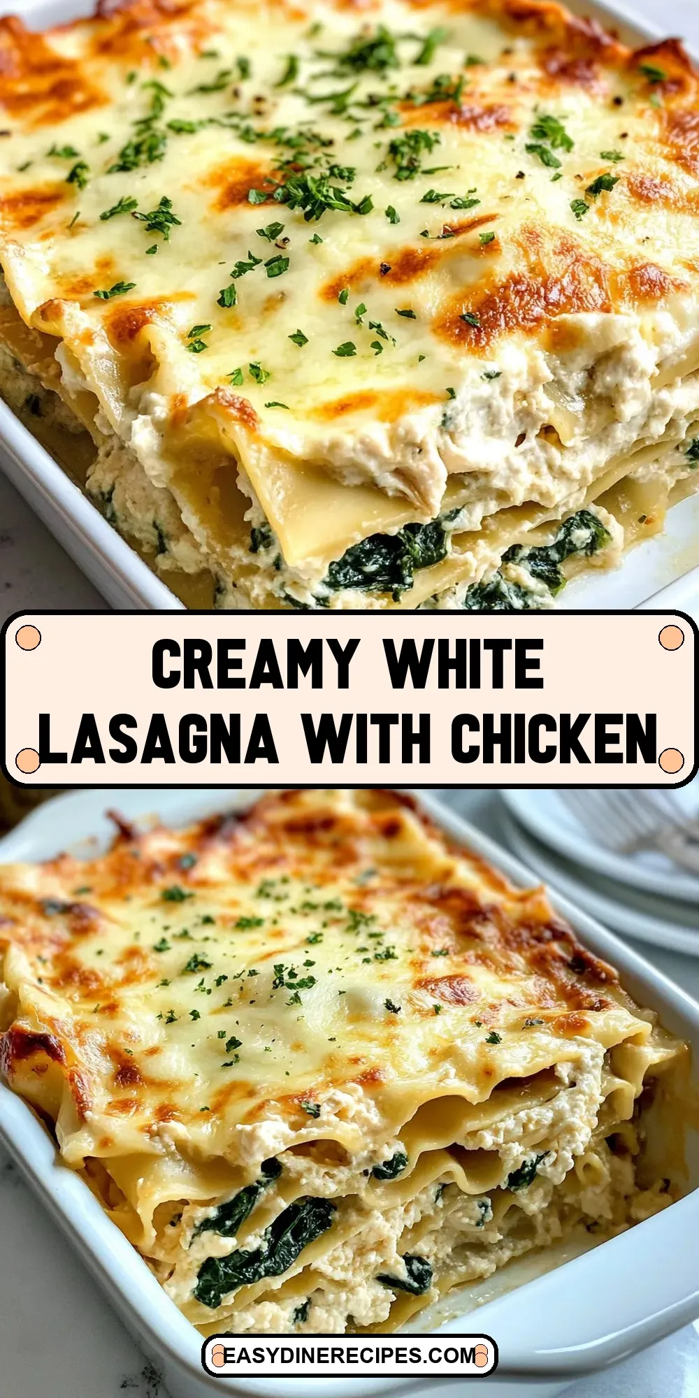 The Best Creamy White Lasagna With Chicken Ever