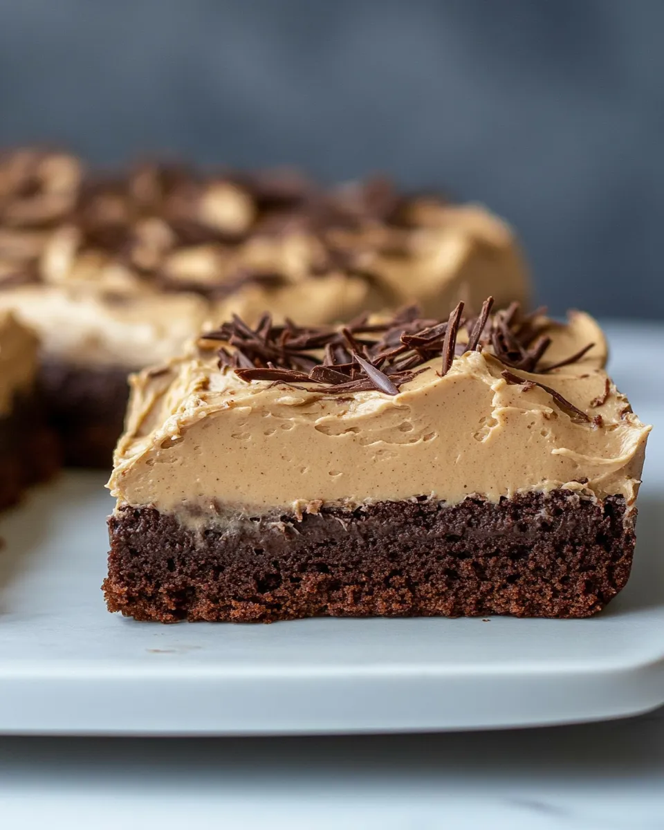Easy Brownie Cake with Cookie Butter Frosting recipe image