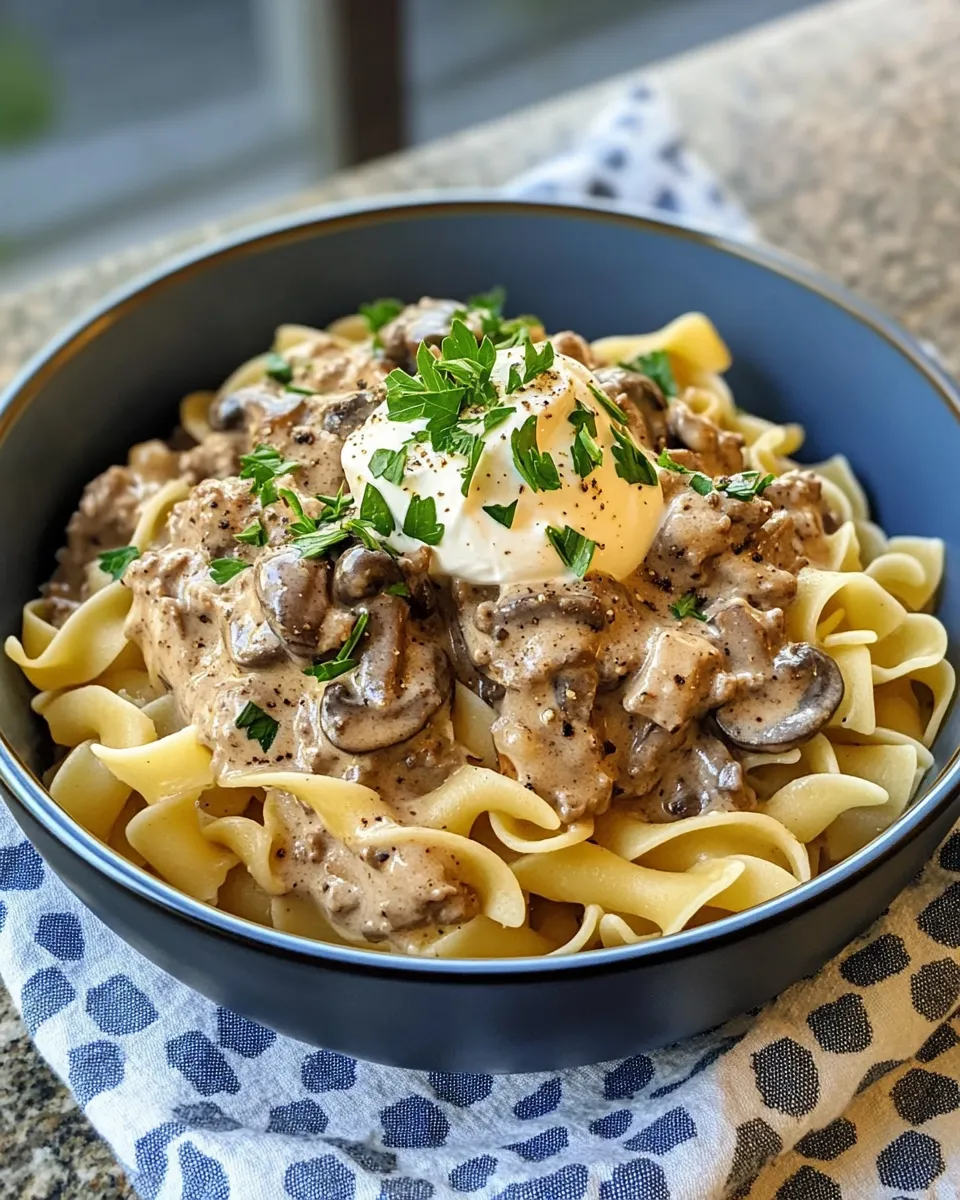Homemade Hamburger Stroganoff Pasta photo
