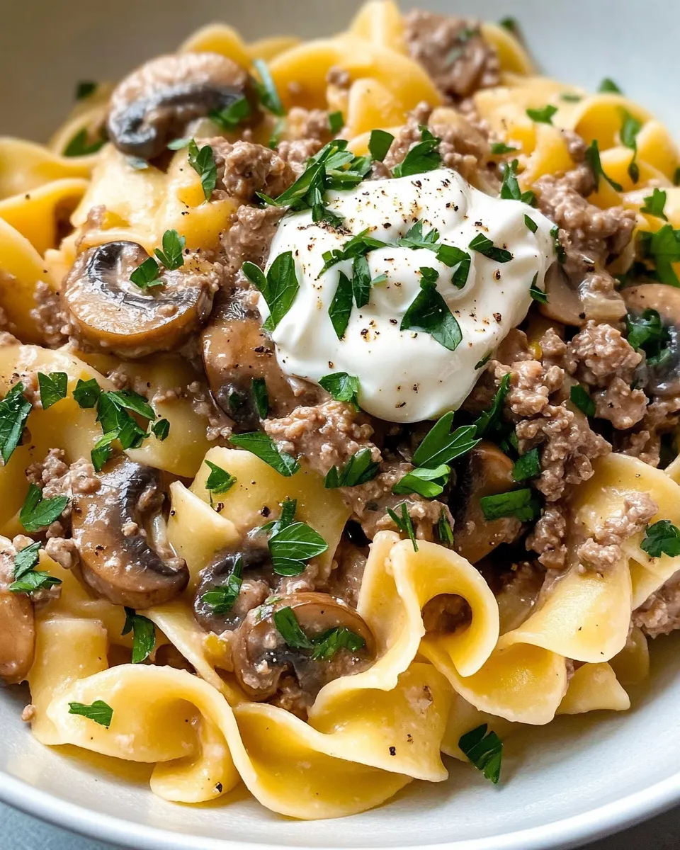 Delicious Hamburger Stroganoff Pasta dish photo