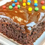 Homemade Wacky Cake (Depression Cake) recipe photo