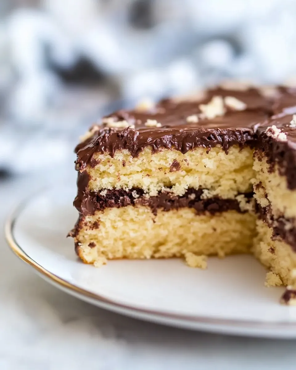 Delicious Yellow Cake with Chocolate Frosting (From Scratch!) food shot
