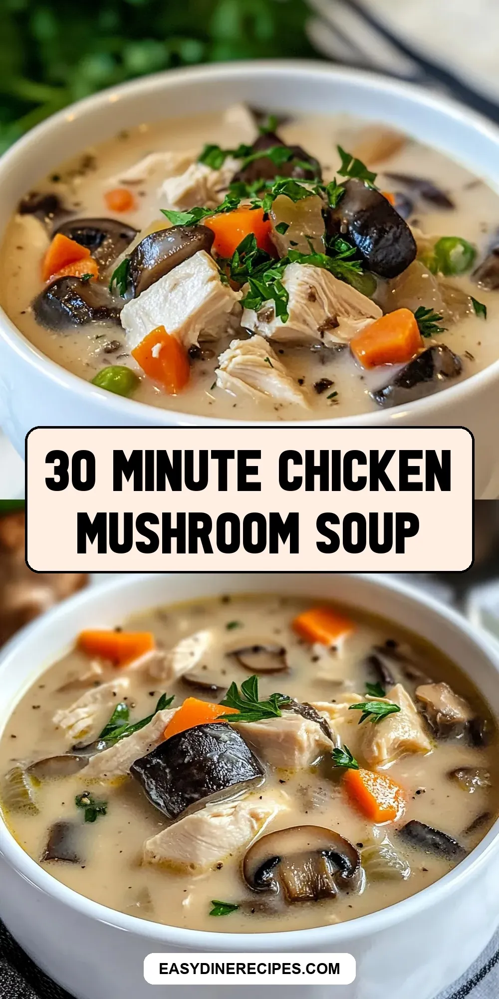 Easy 30 Minute Chicken Mushroom Soup Recipe