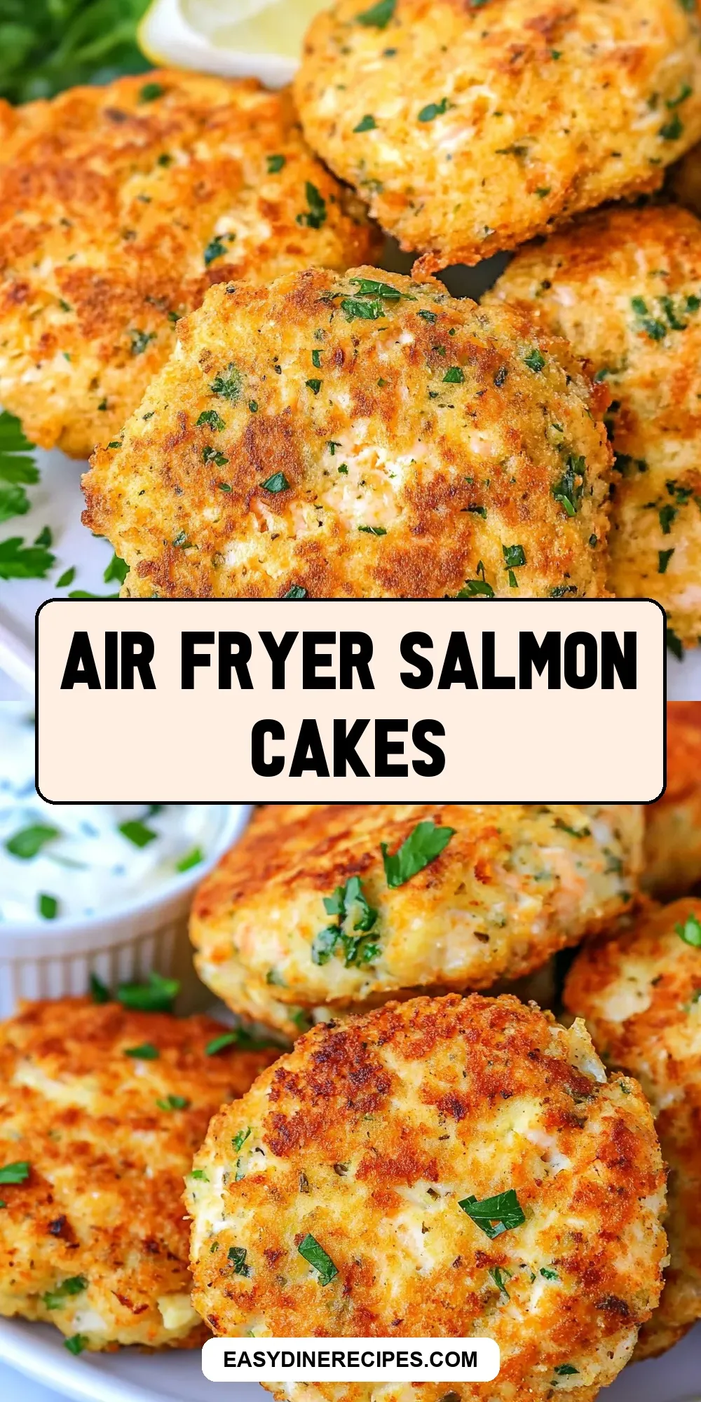 Easy Air Fryer Salmon Cakes Recipe