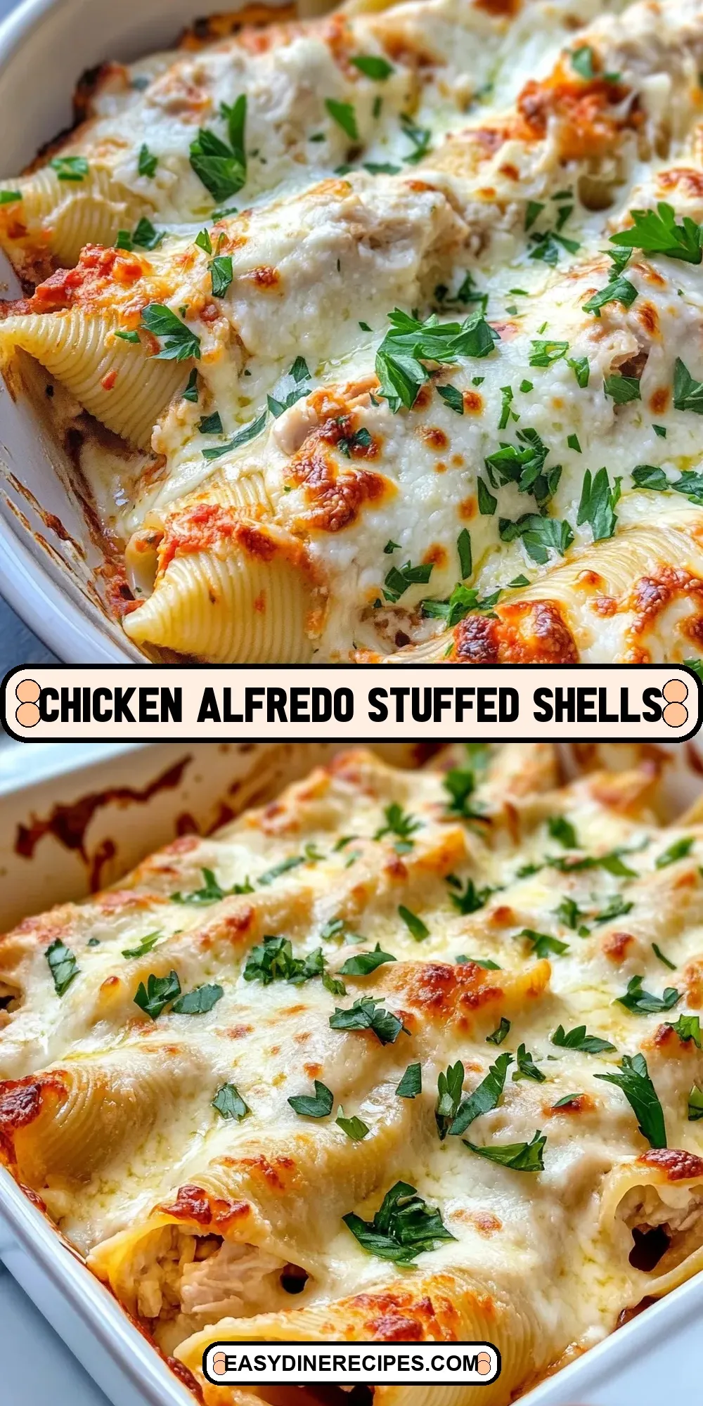 Creamy Chicken Alfredo Stuffed Shells