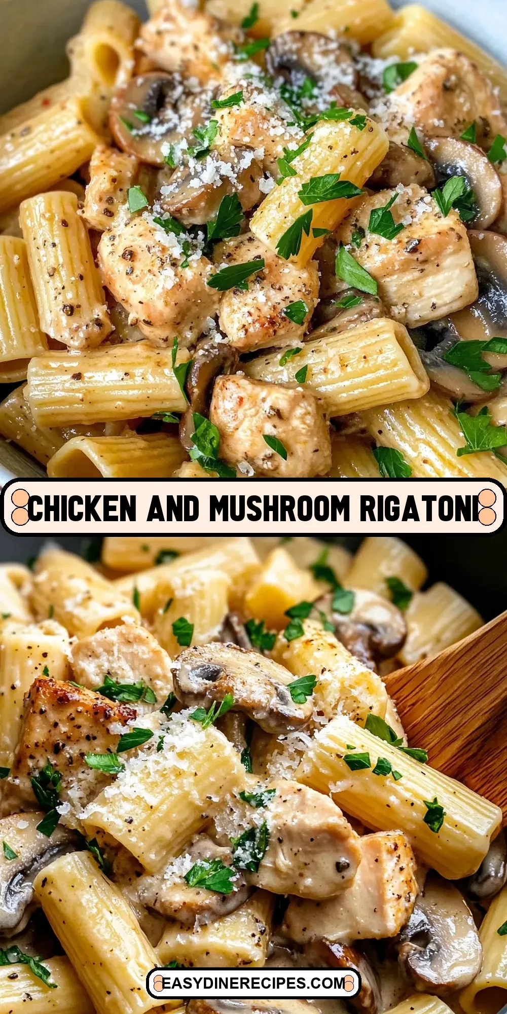 Easy Chicken And Mushroom Rigatoni Recipe