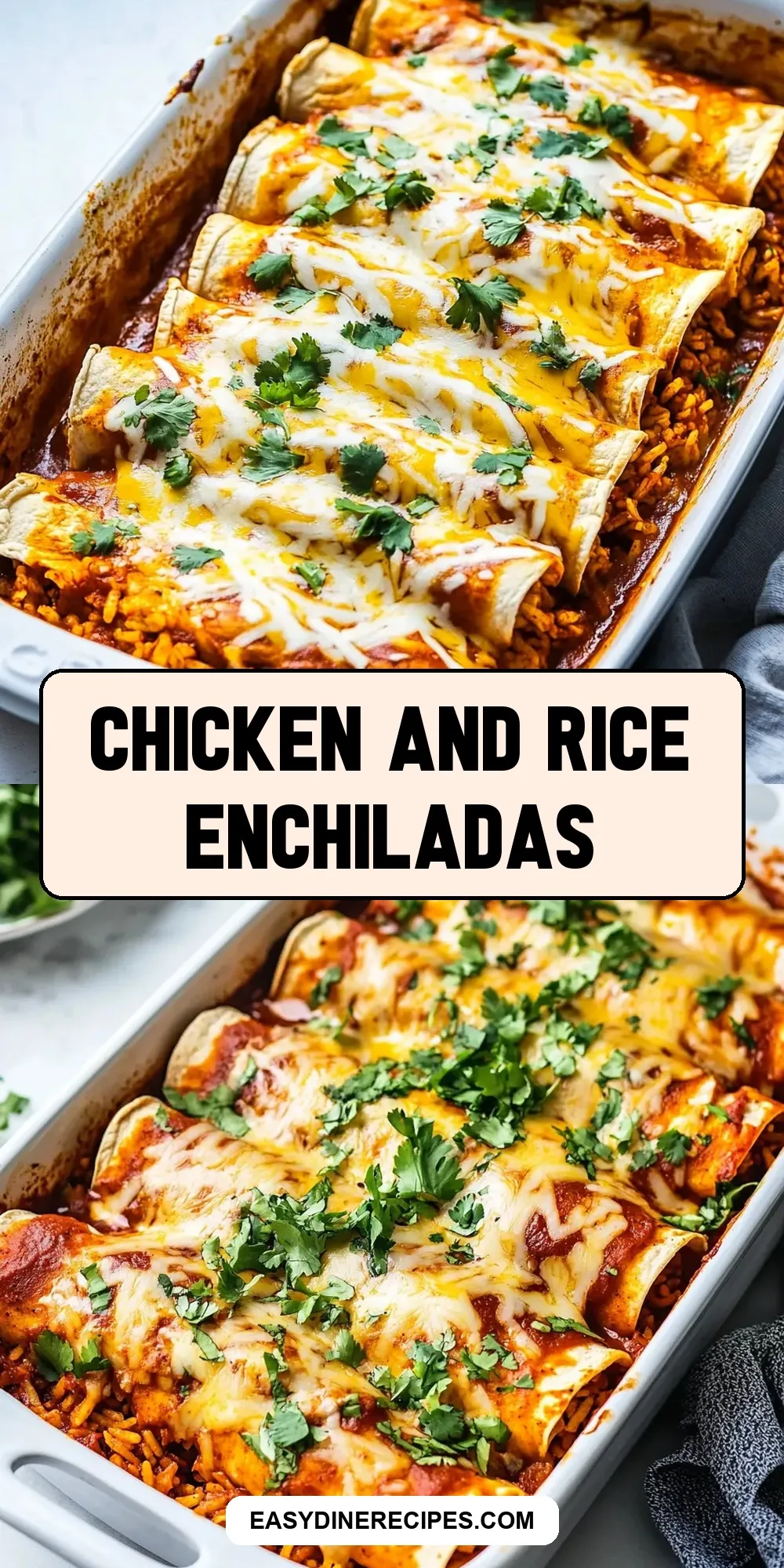 Savory Chicken And Rice Enchiladas