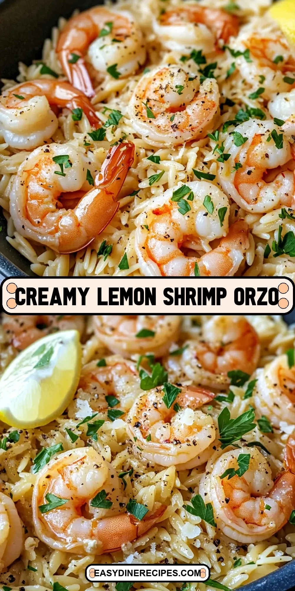 The Best Creamy Lemon Shrimp Orzo Ever