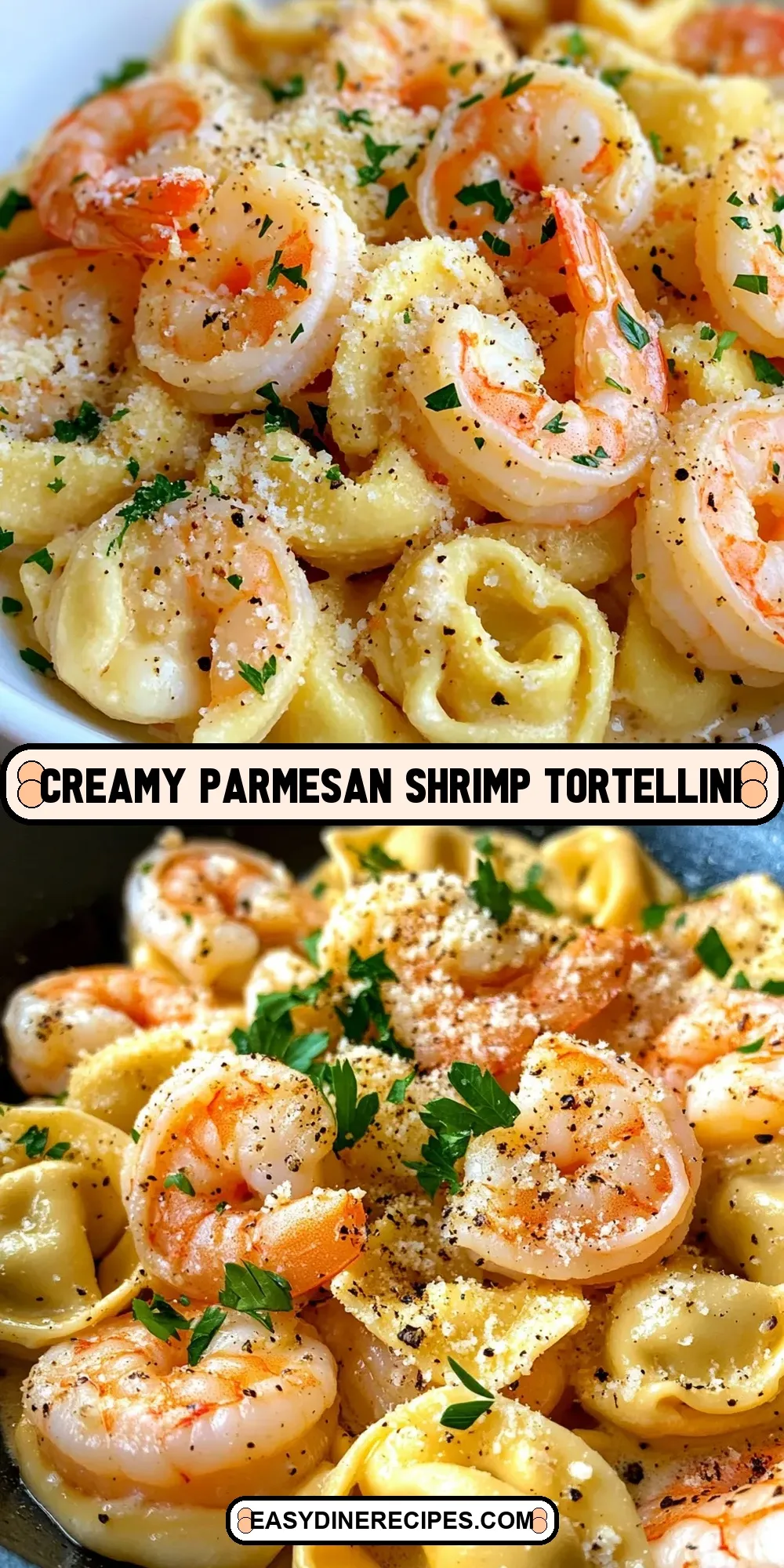 Perfect Creamy Parmesan Shrimp Tortellini