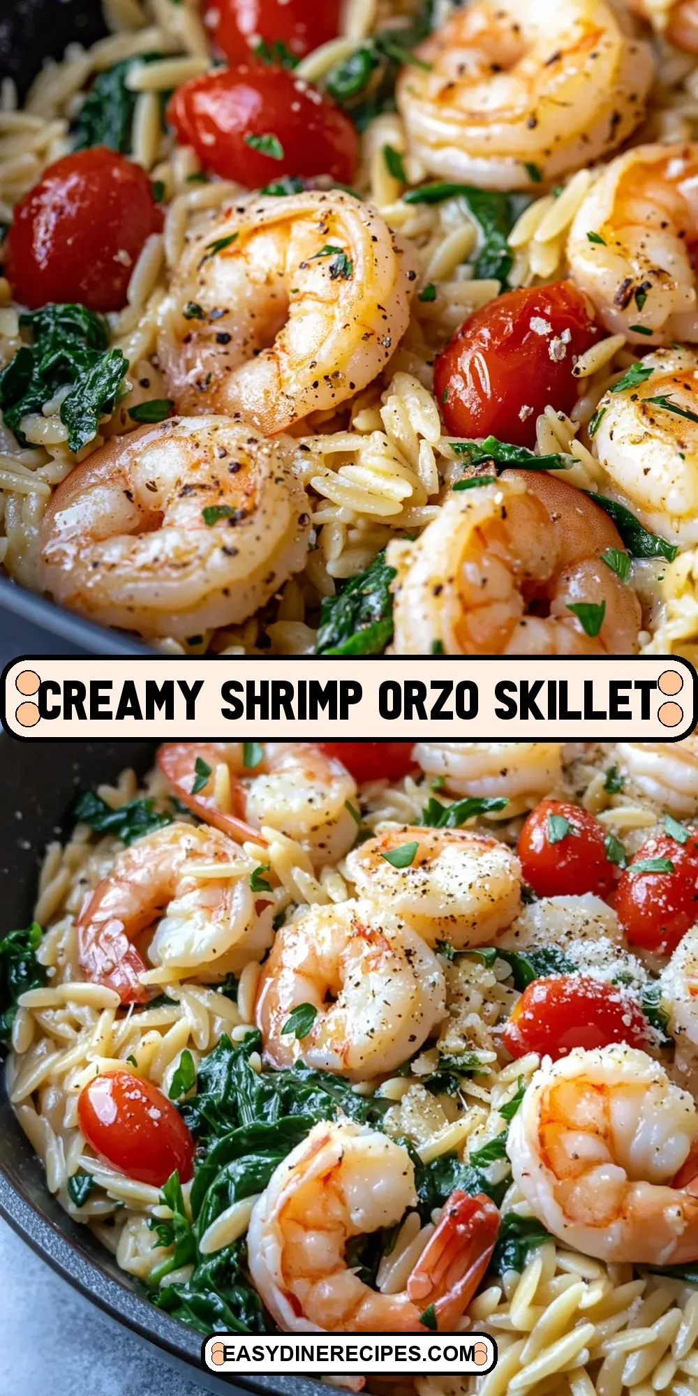 Delicious Creamy Shrimp Orzo Skillet
