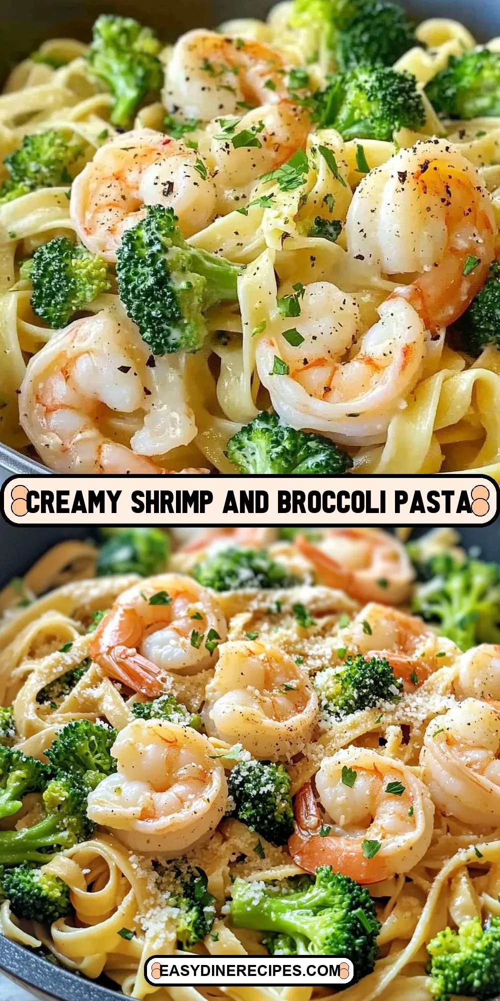 Creamy Shrimp And Broccoli Pasta Recipe
