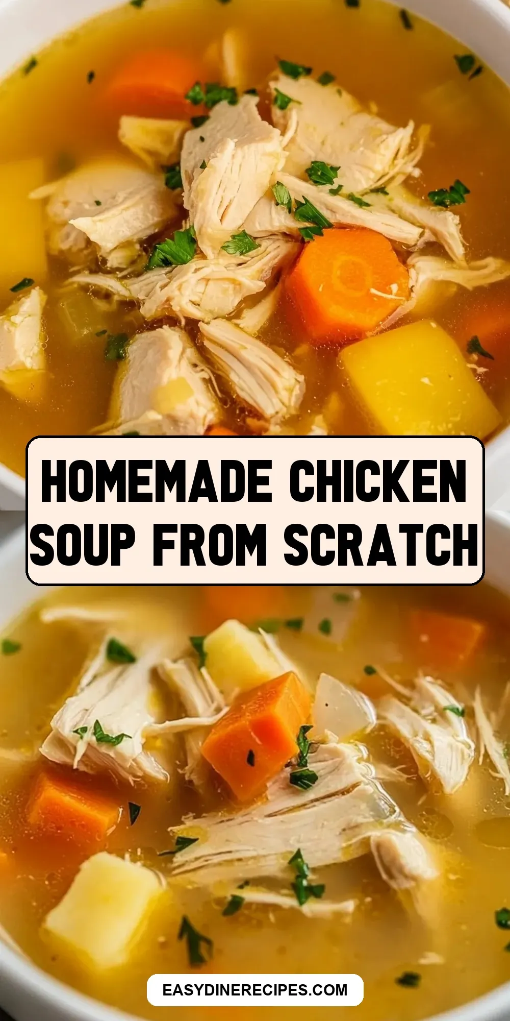 Homemade Chicken Soup From Scratch Recipe