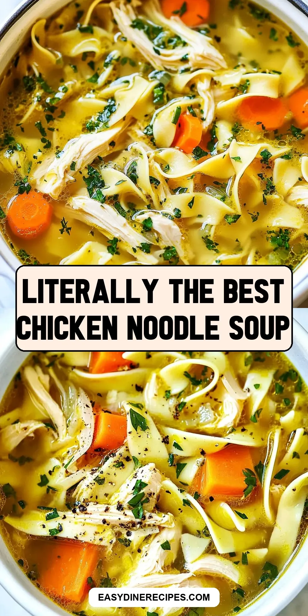 The Best Literally The Best Chicken Noodle Soup Ever