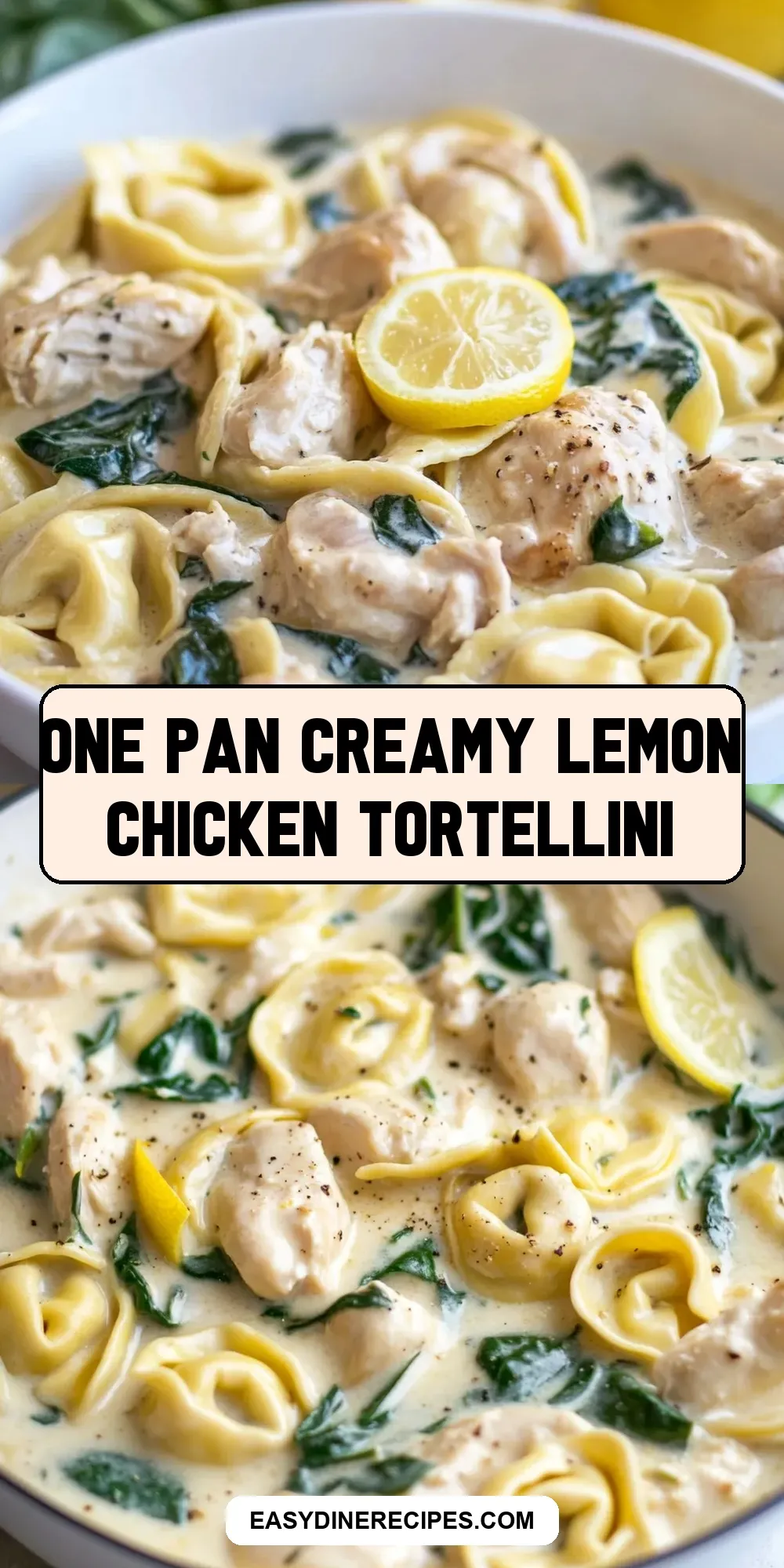 The Best One Pan Creamy Lemon Chicken Tortellini Ever