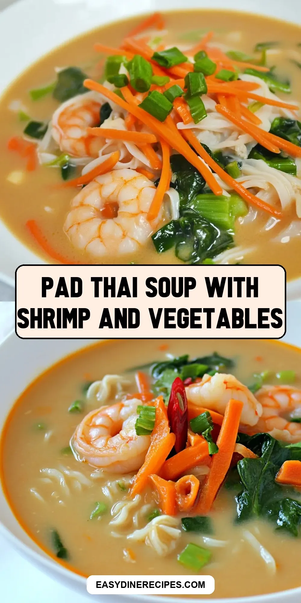 Homemade Pad Thai Soup With Shrimp And Vegetables