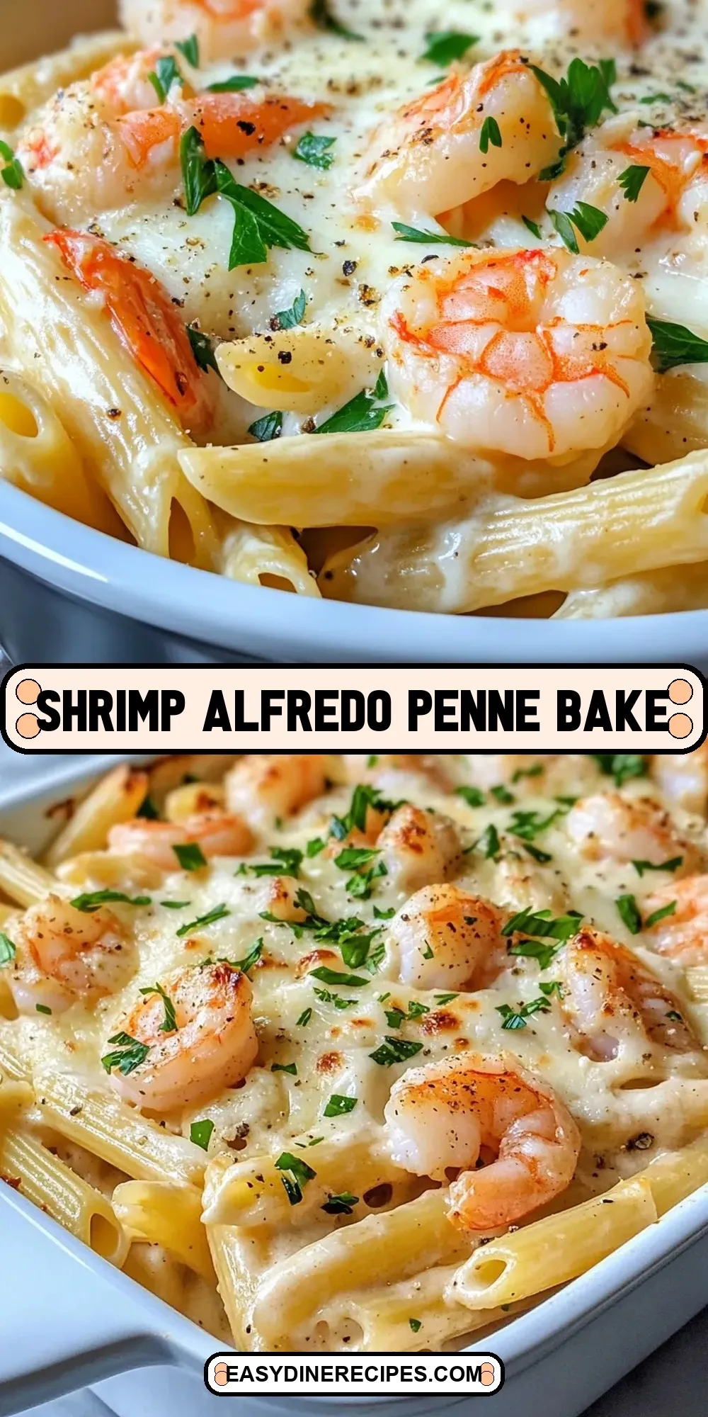 Shrimp Alfredo Penne Bake Recipe