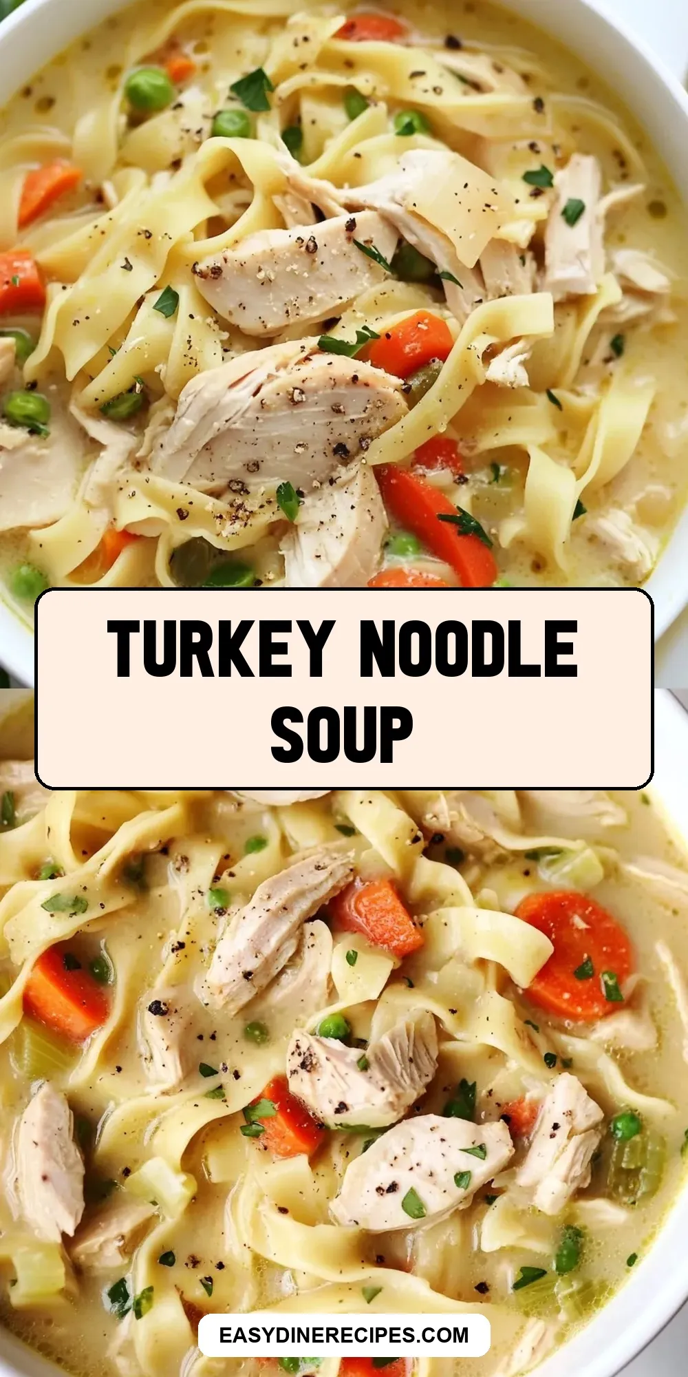 Turkey Noodle Soup (Healthy & Delicious)