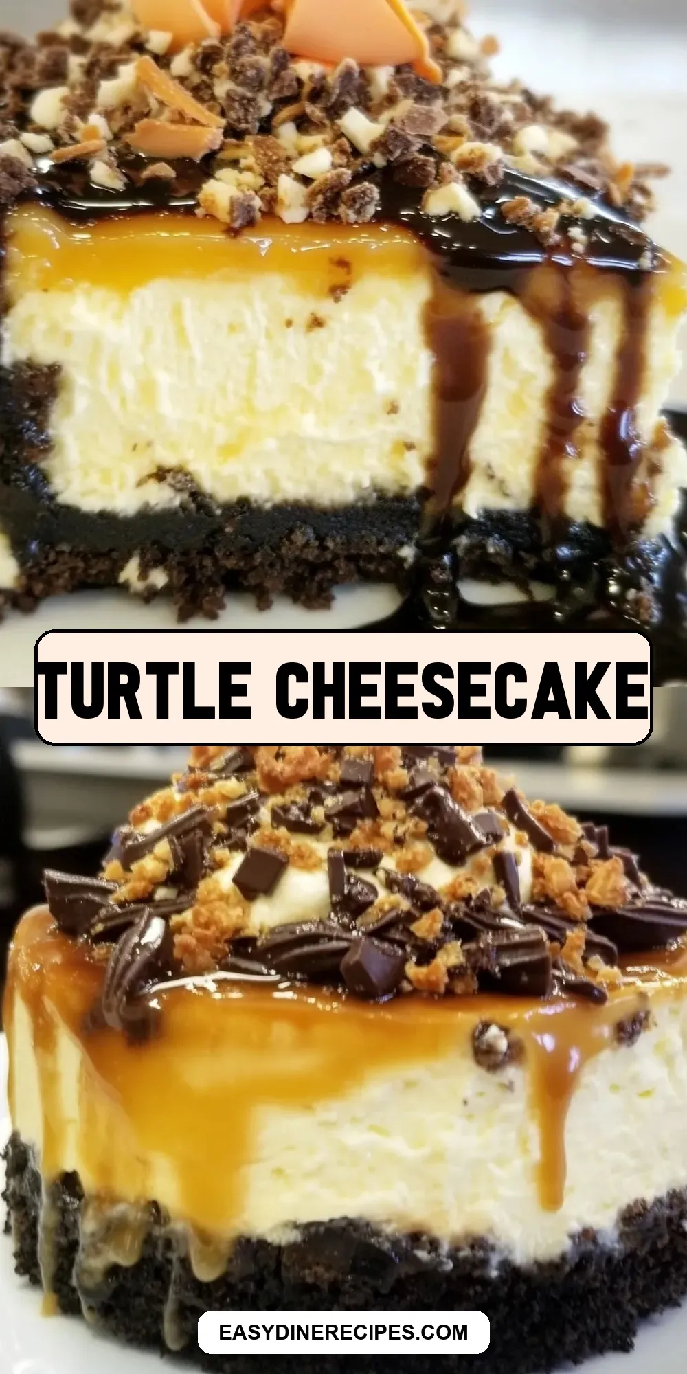 Turtle Cheesecake (Healthy & Delicious)