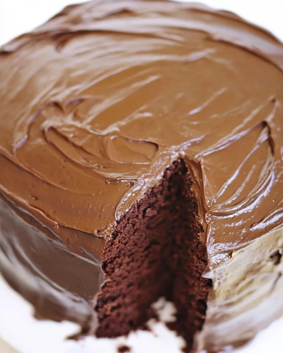 Easy Devils Food Cake Recipe shot