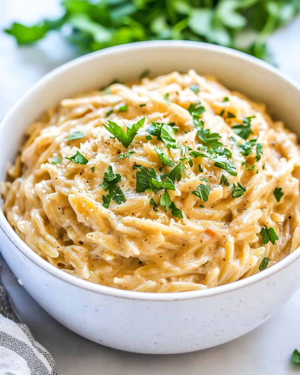 classic 15 Minute Creamy Garlic Parmesan Orzo image