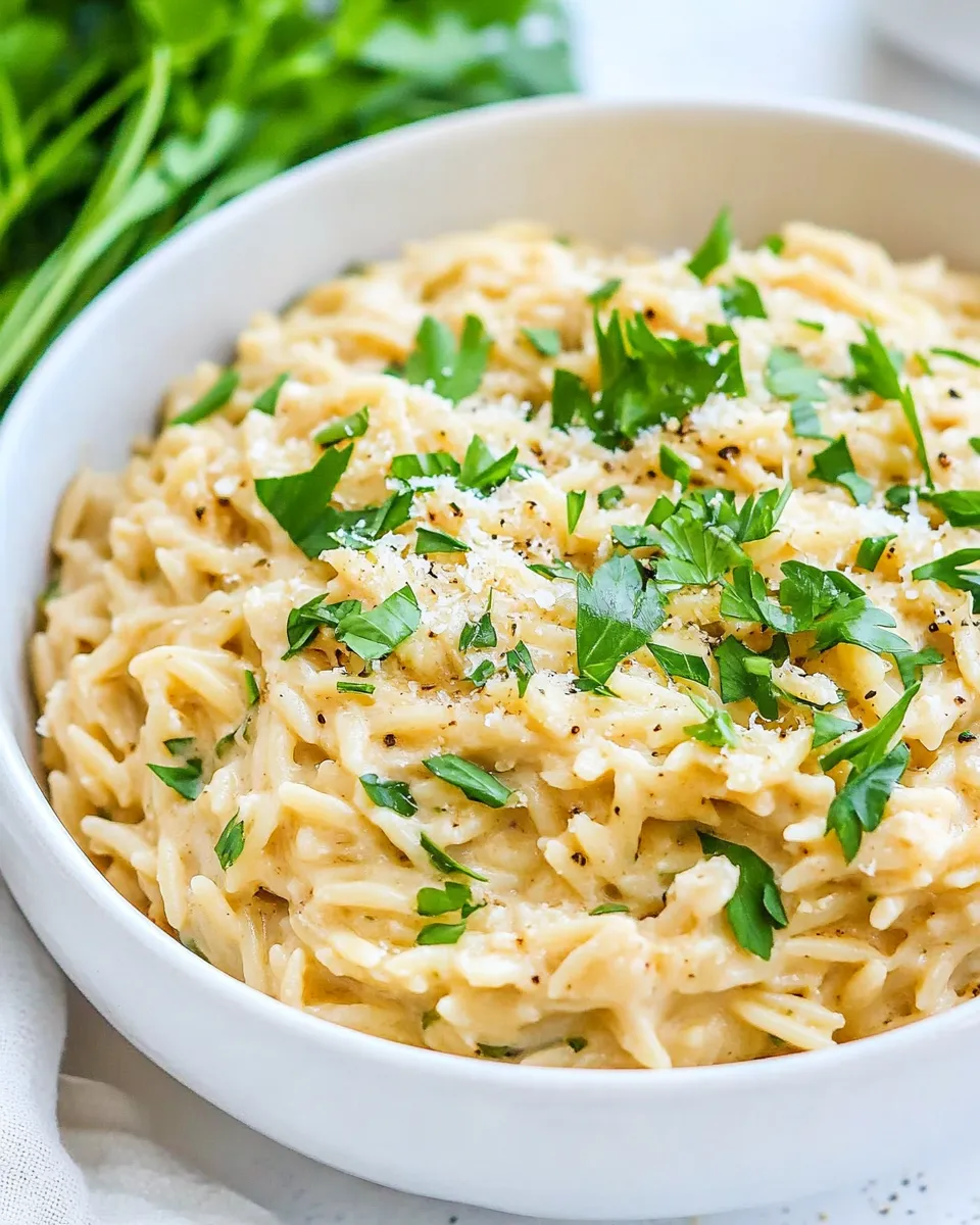 delicious 15 Minute Creamy Garlic Parmesan Orzo shot