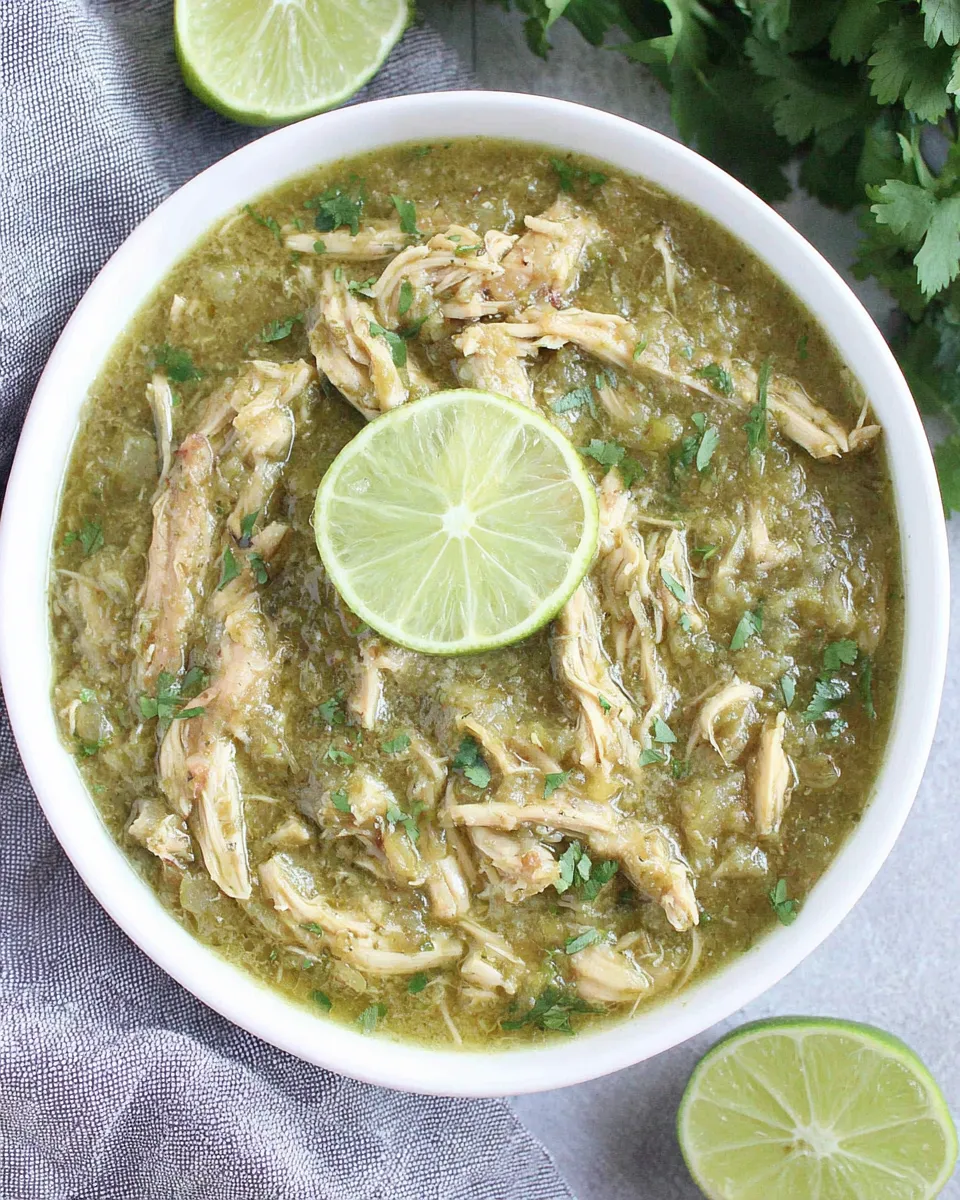 Easy 4-Ingredient Instant Pot Chicken Chile Verde recipe photo