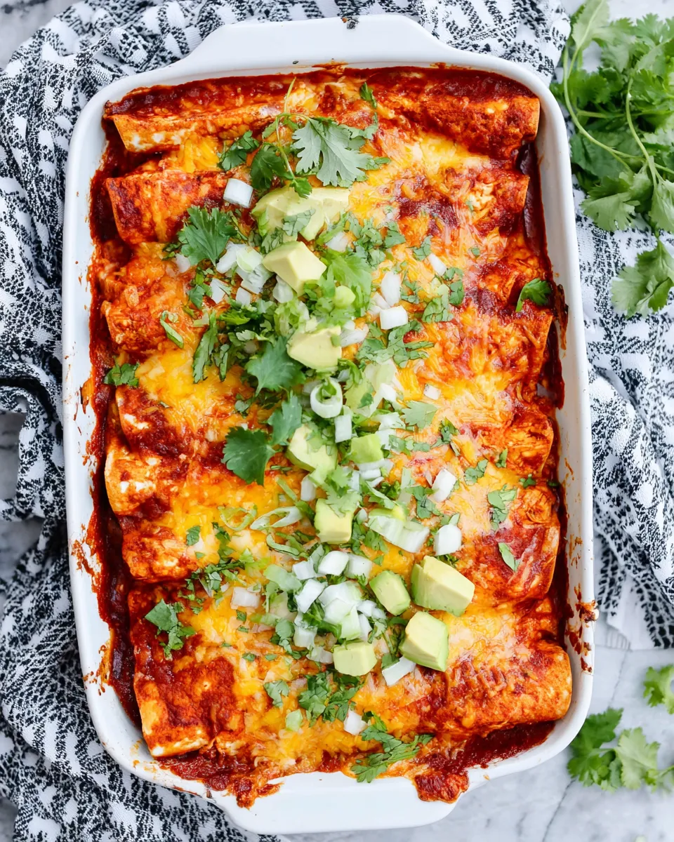 Delicious Best Chicken Enchilada Recipe shot