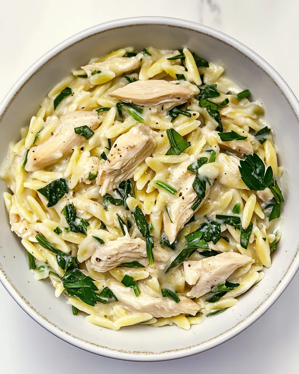 Easy Boursin Orzo with Chicken recipe photo