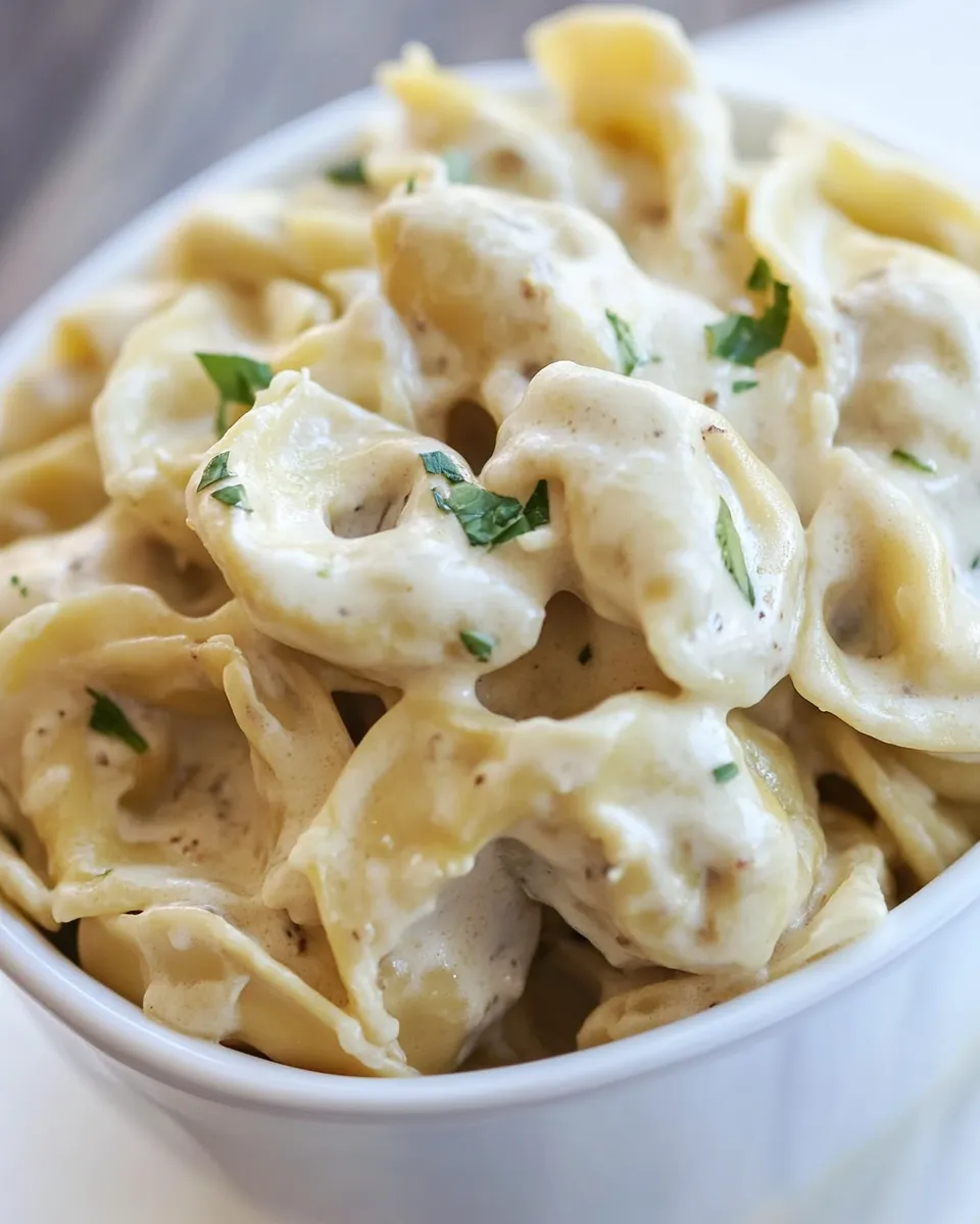 Homemade Cheesy Tortellini Pasta photo