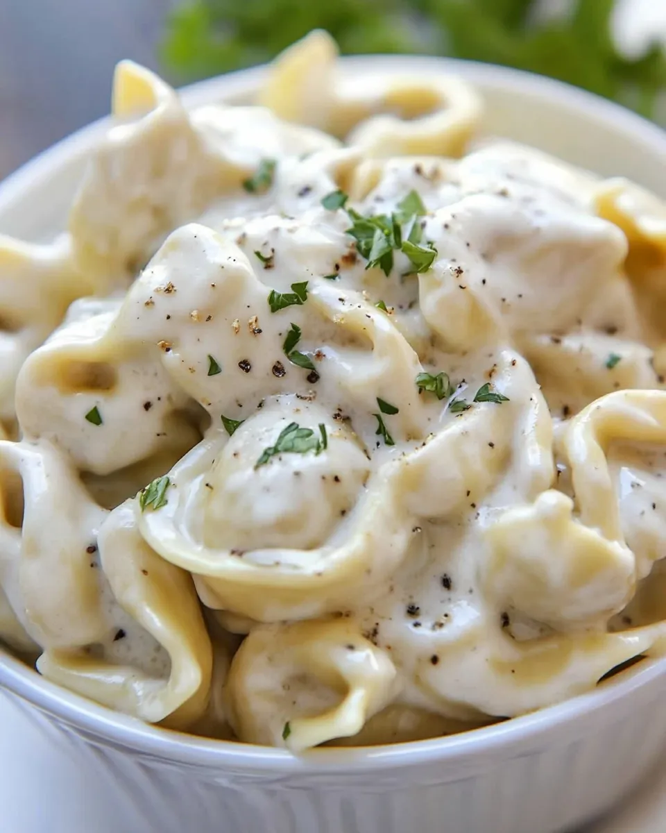 Delicious Cheesy Tortellini Pasta shot