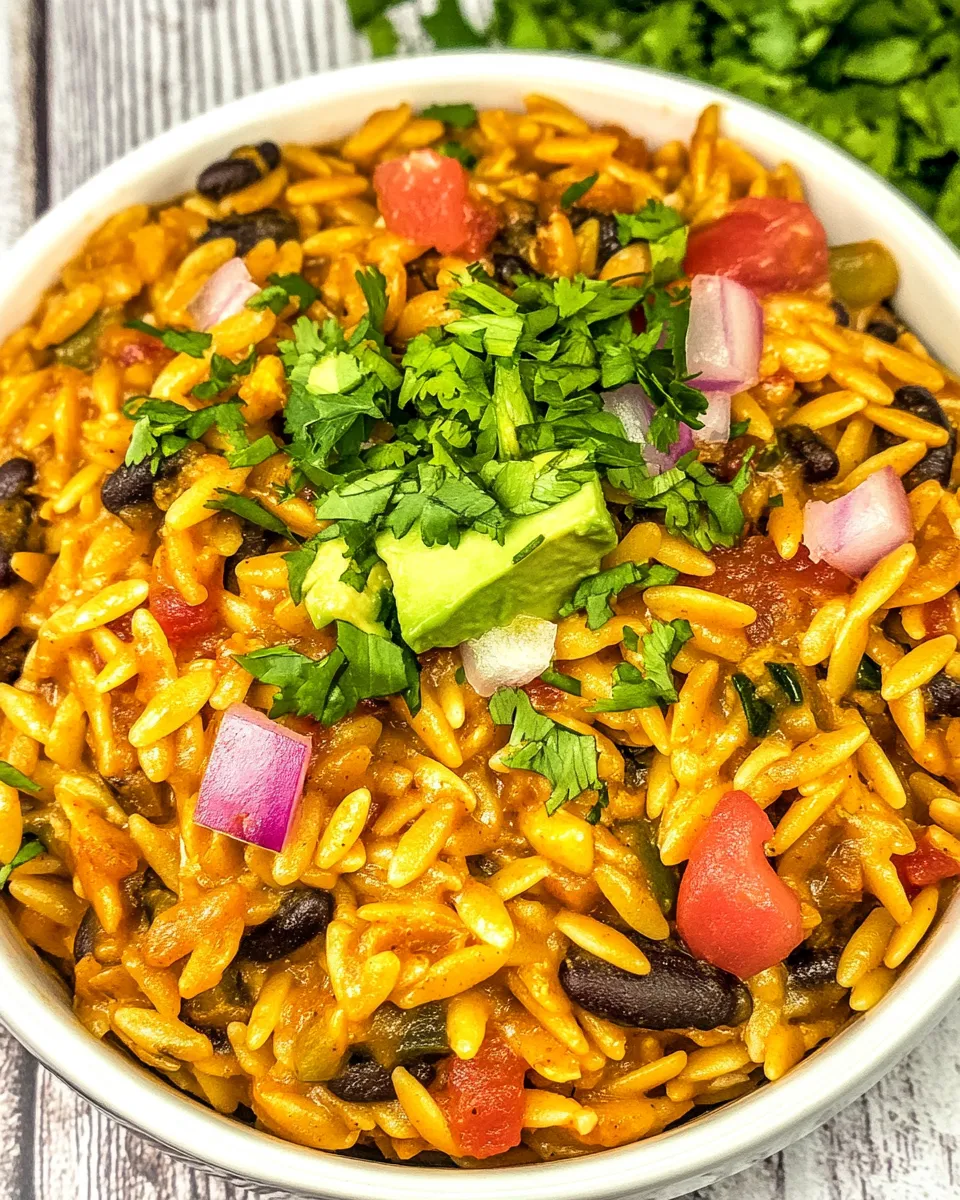Delicious Chicken Enchilada Orzo plate image