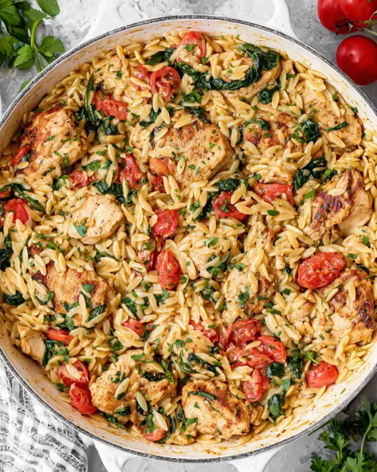 Homemade Chicken and Orzo photo