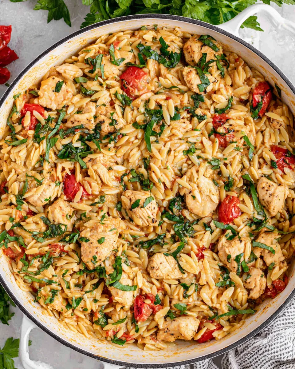 Delicious Chicken and Orzo dish photo