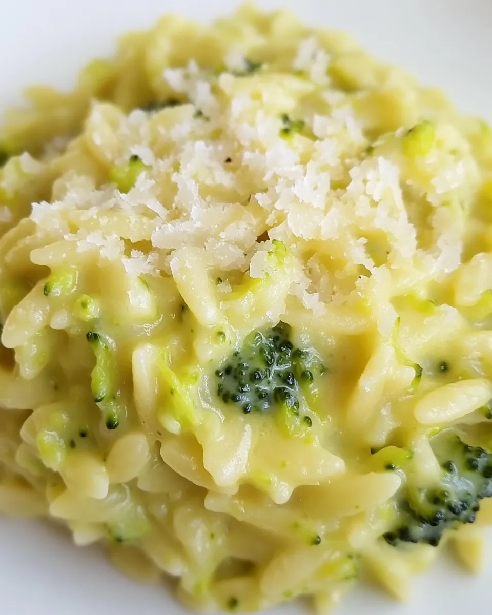 delicious Creamy Broccoli Orzo dish photo