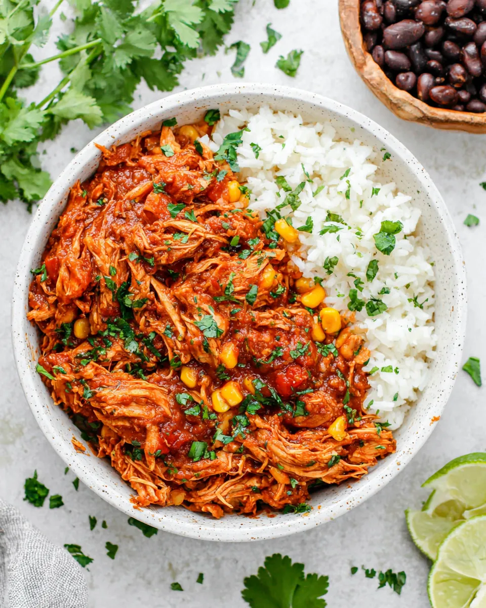 Homemade Instant Pot Salsa Chicken recipe photo