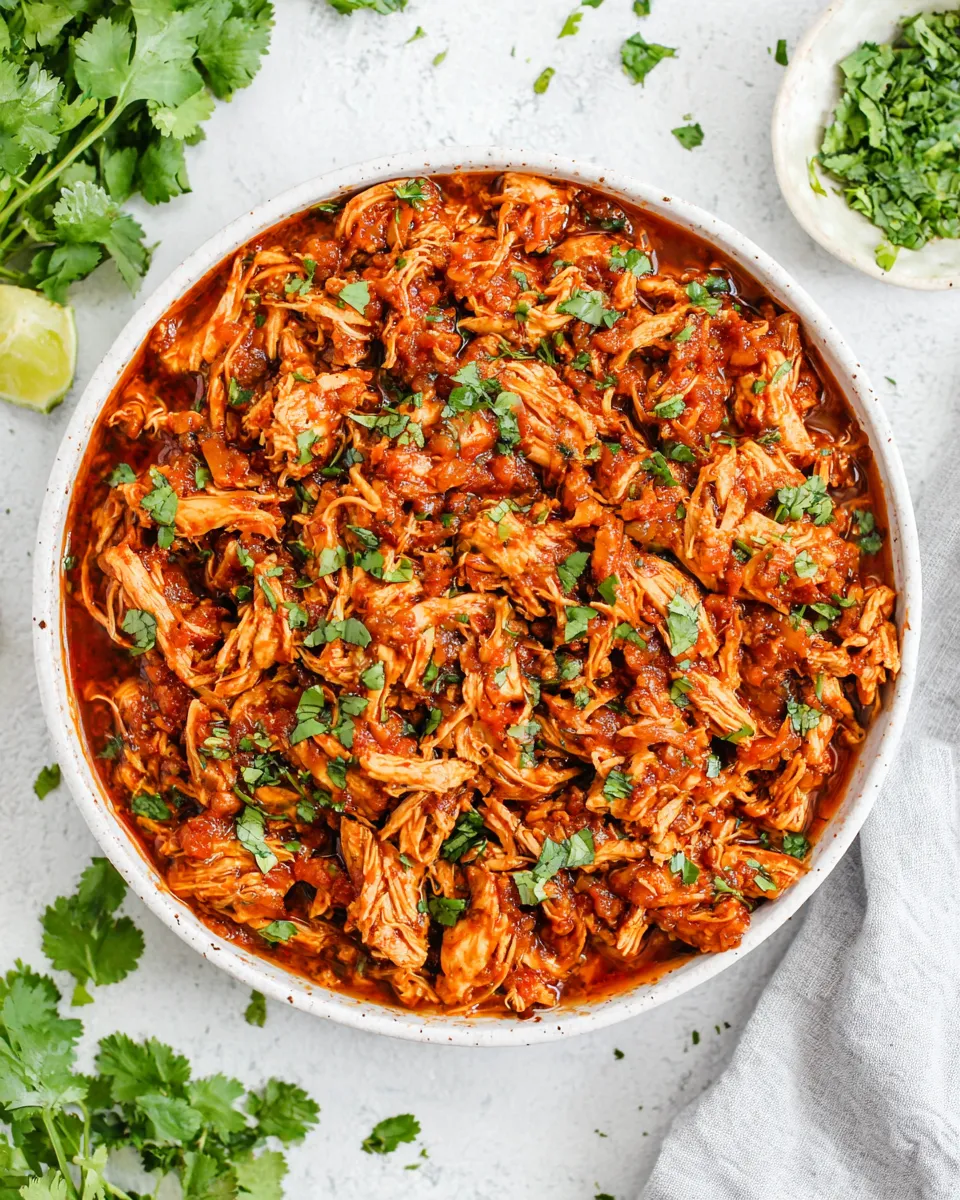 Easy Instant Pot Salsa Chicken food shot