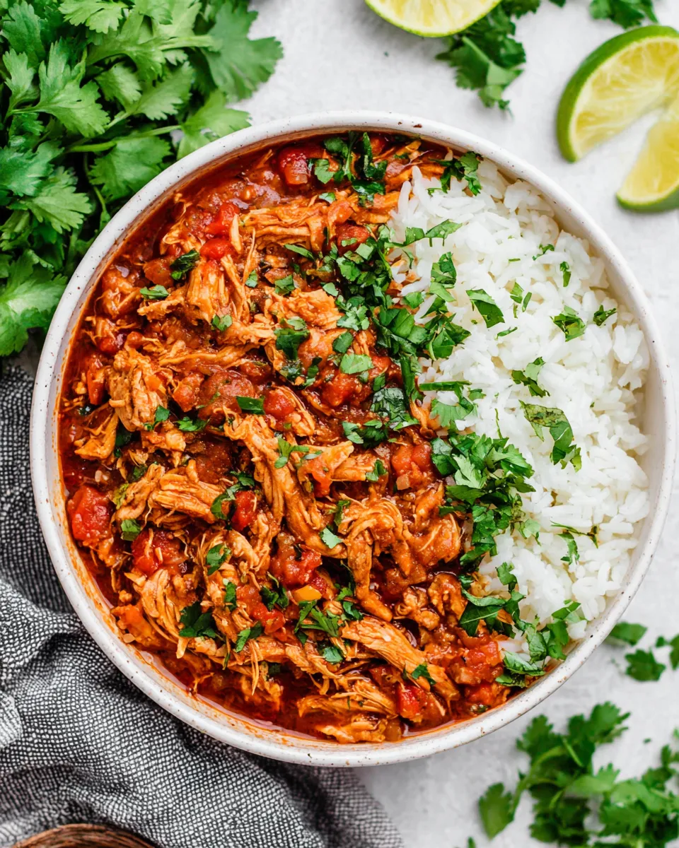 Delicious Instant Pot Salsa Chicken plate image